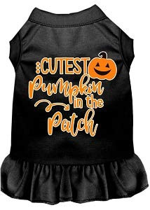 Mirage Pet Product Cutest Pumpkin in The Patch Screen Print Dog Dress Black Med