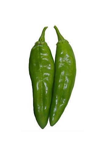 Sandia Seed Co. NuMex 6-4 Green Chile Seeds - Heritage Variety - 30 Seeds from New Mexico