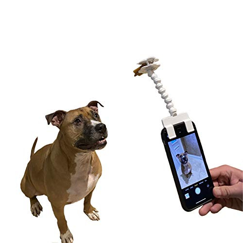 Pet Selfie Tool Smartphone Attachment Dog Selfie Stick Cellphone Treat Holder for Training Perfect Photo of Dogs Cats Captivate Attention Portrait Compatible on All Smartphones with Case -White-