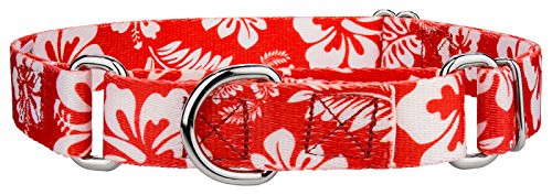 Country Brook Petz - Red Hawaiian Martingale Dog Collar - Medium