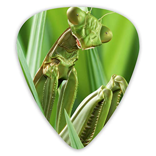 Guitar Bass Picks Grip for electric guitar acoustic guitar Ukulele mandolin Medium Mantis Picture -12 Pack- Guitar Bass Picks Grip for electric guitar acoustic guitar Ukulele mandolin Medium Mantis Picture -12 Pack-