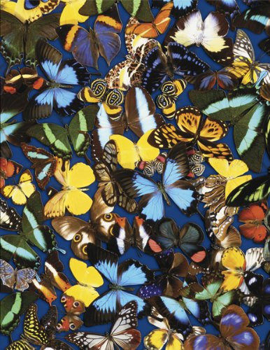 Springbok Butterfly Collection 500 Piece Jigsaw Puzzle