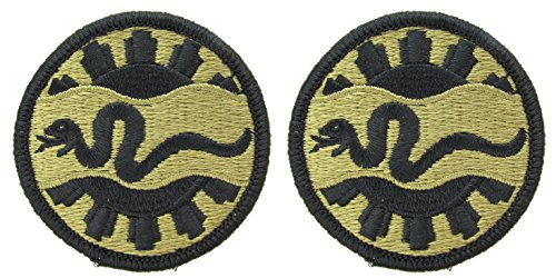 116th Armored Cavalry Regiment OCP Patch-2 PACK -Military Issued--Veteran Owned Business