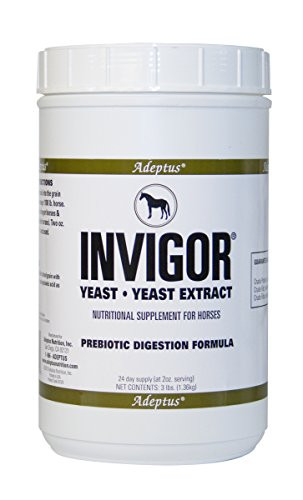 Adeptus Nutrition Invigor EQ Joint Supplements  3 lb. 5 x 5 x 9