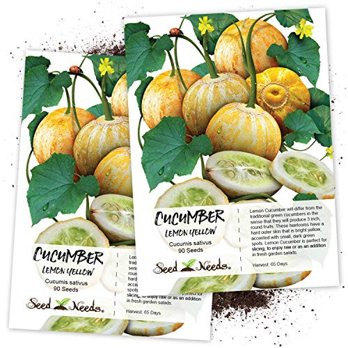 Seed Needs Lemon Cucumber -Cucumis sativus- Twin Pack of 90 Seeds Each Seed Needs Lemon Cucumber -Cucumis sativus- Twin Pack of 90 Seeds Each
