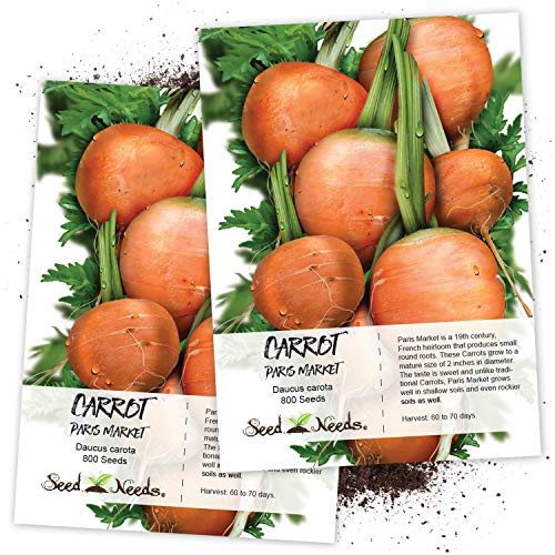Seed Needs Paris Market Carrot -Daucus carota- Twin Pack of 800 Seeds Each Non-GMO Seed Needs Paris Market Carrot -Daucus carota- Twin Pack of 800 Seeds Each Non-GMO