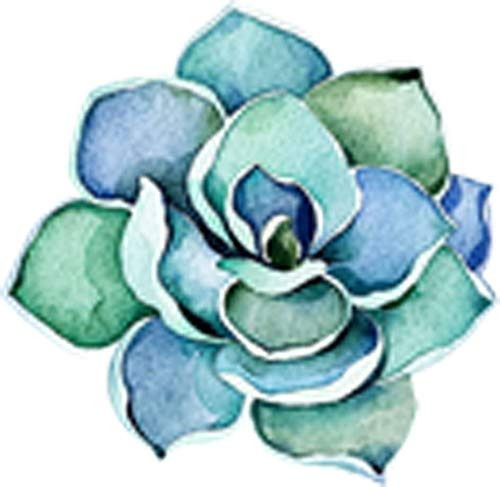 Pretty Watercolor Hipster Spring Paint Art Vinyl Decal Sticker -4 inch Wide  Succulent  1-