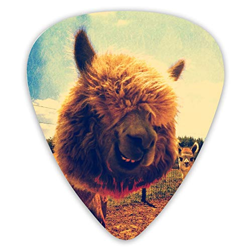 Guitar Bass Picks Grip for electric guitar  acoustic guitar  Ukulele  mandolin Medium Alpaca Pattern -12 Pack-