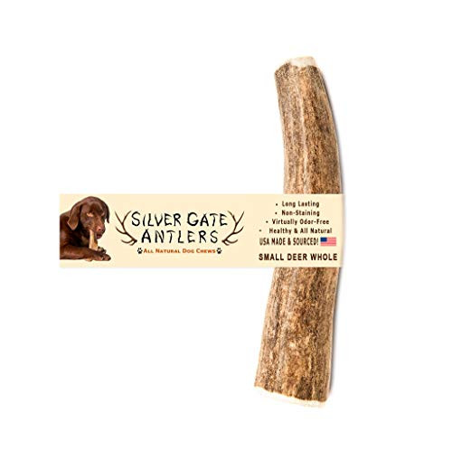 Silver Gate Antlers Antlers for Dogs - Deer Antler Chew Small 4 to 5 Inch - USA Antler Dog Chew - Long Lasting All Natural Dog Chews - Naturally Shed Deer Antler - Durable Chew Toys