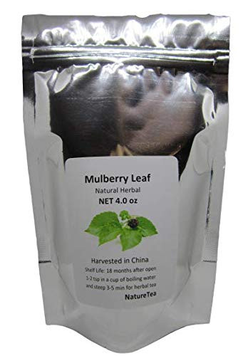 Mulbery Leaf - Folium Mori Dried Loose Leaf Tea by Nature Tea -8 oz-