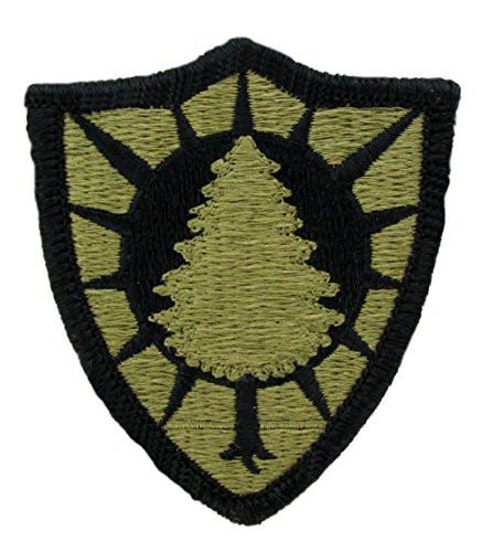 Maine National Guard OCP Patch - Scorpion W2