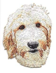 VirVenture 2 inch x 2 1 2 inch Golden Doodle Dog Breed Portrait Embroidered Patch Great for Hats  Backpacks  and Jackets.
