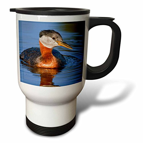 3dRose Newfoundland and Labrador, Boat-Cindy Miller Hopkins, Stainless Steel Travel Mug, 14-Oz 3dRose Newfoundland and Labrador, Boat-Cindy Miller Hopkins, Stainless Steel Travel Mug, 14-Oz