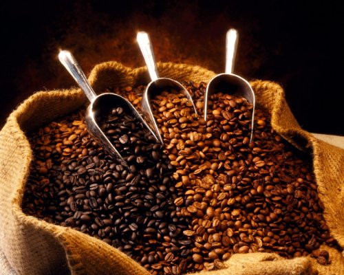 RhoadsRoast Select  Premium Light Medium Fresh Roasted Coffees  Whole Bean -Papua New Guinea Peaberry Jikawa Western Highlands Coffee Beans  2 pounds-