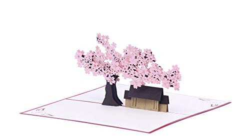 EnclosedwithLove - Sakura Cherry Blossoms 3D Pop Up Greeting Card - Birthday Thank You Congratulations Spring Pop Up Card - All Occasions EnclosedwithLove - Sakura Cherry Blossoms 3D Pop Up Greeting Card - Birthday Thank You Congratulations Spring Pop Up Card - All Occasions