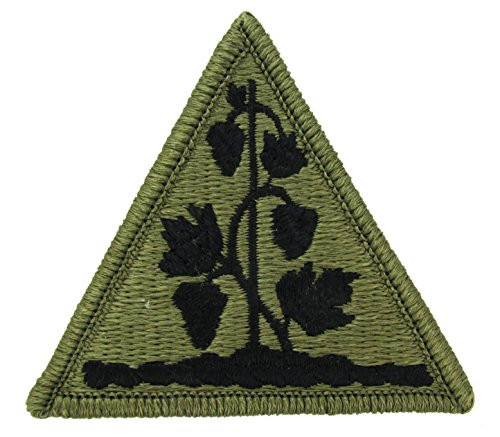 Connecticut National Guard OCP Patch - Scorpion W2