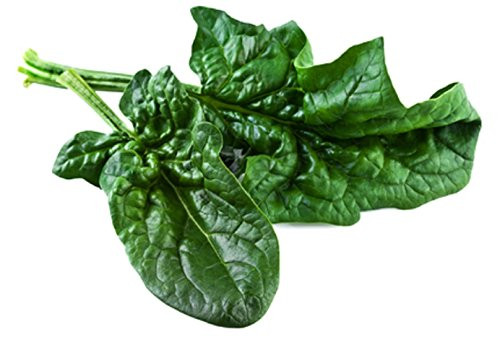 Sow No GMO Spinach Bloomsdale Savoy Non GMO Heirloom Garden Vegetable 25 Seeds
