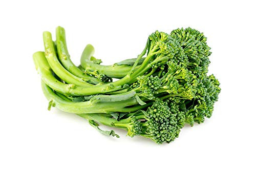 Spring Raab Rapini Broccoli Seeds  300 Seeds Per Packet  Non GMO Seeds