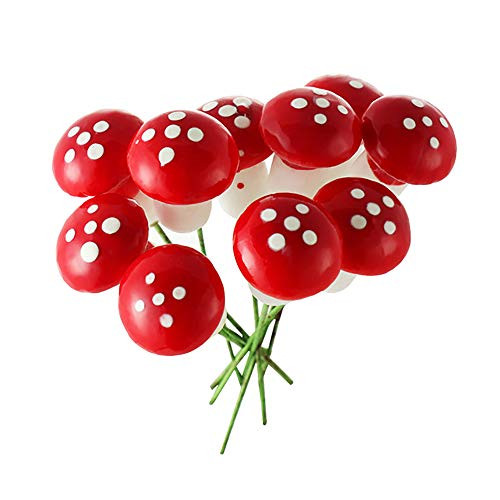 VIDELLY 100 Pieces Mini Mushrooms Miniature Figurines Fairy Garden Miniatures Accessories Fairy Garden Plant Fairy Garden Supplies Micro Landscape - Plant Pots Bonsai Craft Decor Red VIDELLY 100 Pieces Mini Mushrooms Miniature Figurines Fairy Garden Miniatures Accessories Fairy Garden Plant Fairy Garden Supplies Micro Landscape - Plant Pots Bonsai Craft Decor Red