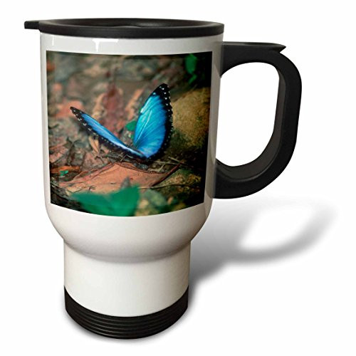 3dRose tm_87499_1" Alaska Mountain Range, Susitna River, Denali, Alaska-Us02 Hga0159-Howie Garber" Travel Mug, 14 oz, Multicolor