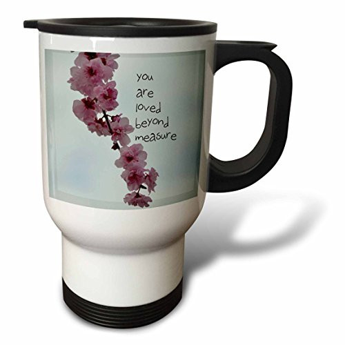 3dRose tm_51358_1 Panda Bear Animals Cute Art Travel Mug, 14-Ounce, Stainless Steel