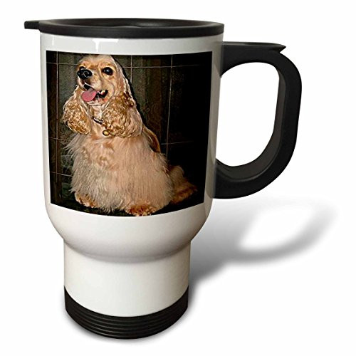 3dRose Wild Turkey Gobbler Travel Mug, 14-Ounce