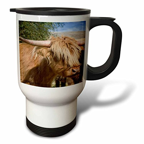 3dRose Washington Palouse Scottish Highland Cattle-US48 BJA0216-Jaynes Gallery Travel Mug, 14-Ounce