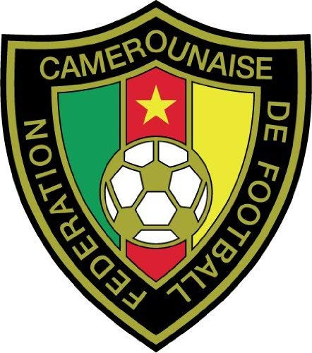 Cameroon National Team Soccer Football - Dye Cut Sticker Vinyl Decal - Just Peel off and Stick