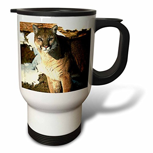 3dRose Cougar Travel Mug, 14-Ounce
