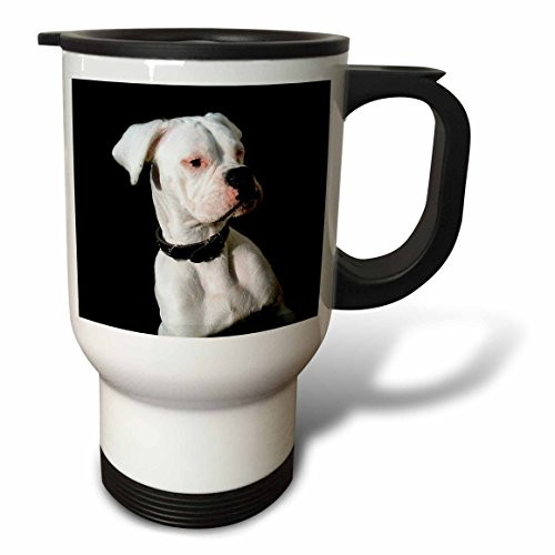 3dRose Rooster Travel Mug, 14-Ounce