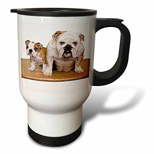 3dRose Chihuahua Travel Mug, 14-Ounce