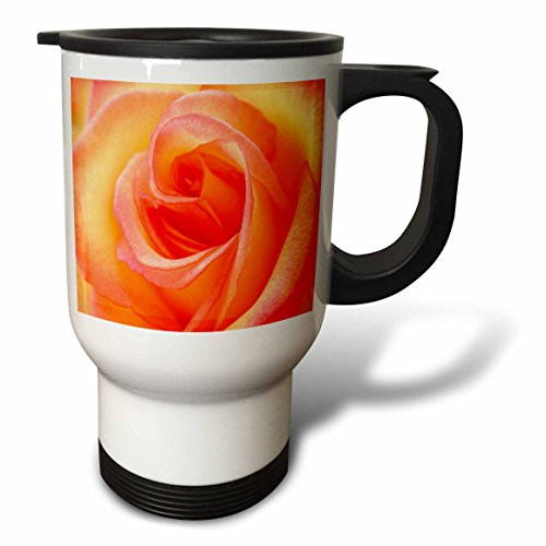 3dRose Hug a Pug Puppies Travel Mug, 14-Ounce, Stainless Steel