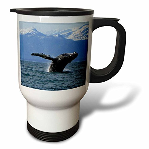 3dRose Bald Eagle and American Flag Travel Mug, 14-Ounce, Stainless Steel