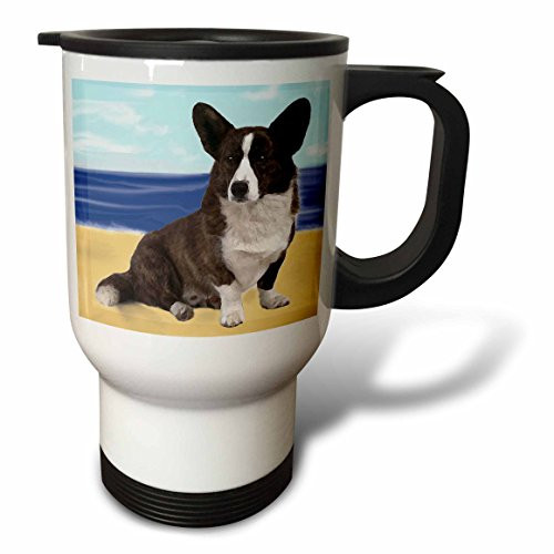 3dRose Pomeranian Travel Mug, 14-Ounce, Stainless Steel