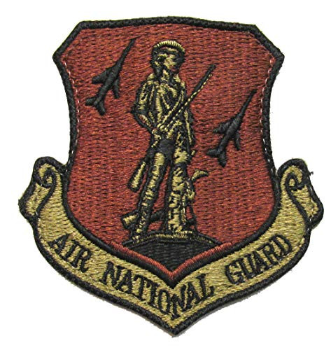 U.S. Air Force Air National Guard OCP Patch - Spice Brown