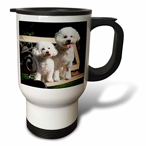 3dRose tm_88774_1 Two Bishon Frise dog US05 ZMU0060 Zandria Muench Beraldo Travel Mug, 14-Ounce, Stainless Steel 3dRose tm_88774_1 Two Bishon Frise dog US05 ZMU0060 Zandria Muench Beraldo Travel Mug, 14-Ounce, Stainless Steel