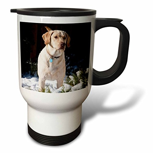 3dRose Labrador Retriever Puppy Dog-NA02 RBR0015-Rick A. Brown Stainless Steel Travel Mug, 14-Ounce