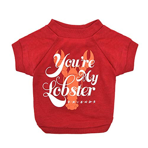 Warner Brothers Pets Friends TV Show You re My Lobster Red Dog T Shirt- Soft Dog Shirt  Machine Washable Pull-Over Dog Tshirt  Light Weight  and  Semi-Stretch - Size Medium for All Small to Medium Dogs
