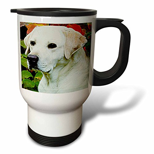 3dRose Labrador Retriever Travel Mug, 14-Ounce, Stainless Steel