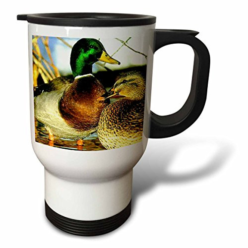 3dRose Mallard Duck Travel Mug, 14-Ounce