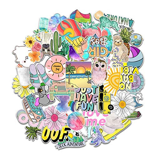 50pcs VSCO Stickers for Hydro Flask Water Bottle  Vinyl Stickers for Laptop Computer Skateboard  Waterproof Sticker Packs for Kids Adults