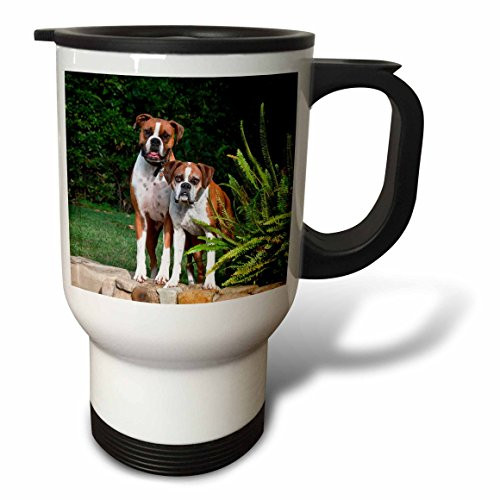 3dRose tm_88772_1 Two Boxer Dogs Us05 Zmu0055 Zandria Muench Beraldo Travel Mug, 14-Ounce, Stainless Steel
