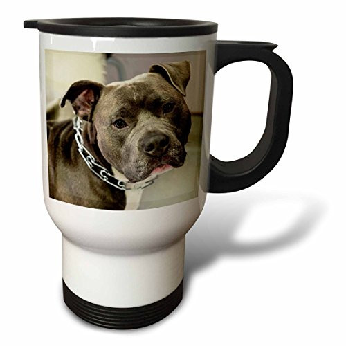 3dRose tm_173653_1 Pit Bull with Chain Collar Travel Mug, 14-Ounce, Stainless Steel