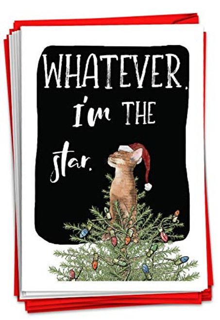 NobleWorks - 12 Funny Animal Christmas Cards - Pet Holiday Humor Bulk Boxed Notecards with Envelopes -1 Design 12 Cards- - Cat Star C3465XSG-B12x1 NobleWorks - 12 Funny Animal Christmas Cards - Pet Holiday Humor Bulk Boxed Notecards with Envelopes -1 Design 12 Cards- - Cat Star C3465XSG-B12x1