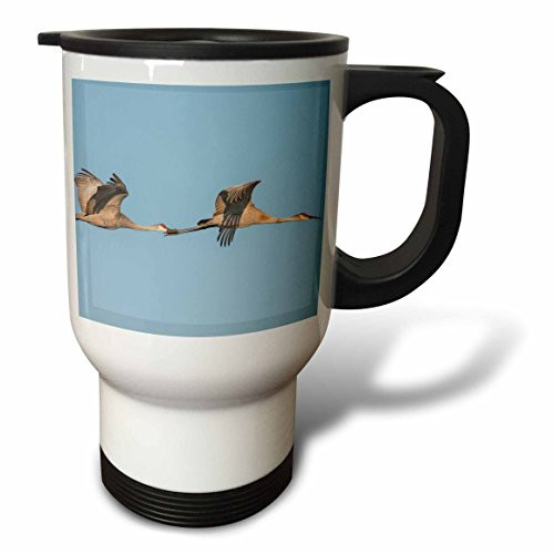 3dRose tm_210358_1 I cant keep calm Im a baseball dad blue saying Travel Mug, 14 oz, Stainless Steel, White