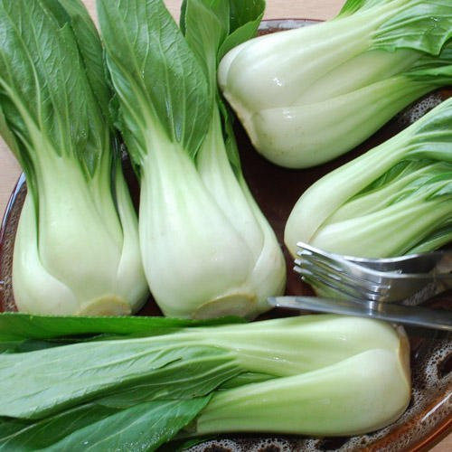 Sow No GMO Cabbage Pak Choi Bok Choi Non GMO Heirloom Asian Chinese Japanese Garden Vegetable 400 Seeds