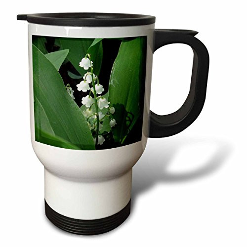3dRose tm_158130_1 Lily of the Valley Travel Mug, 14 oz
