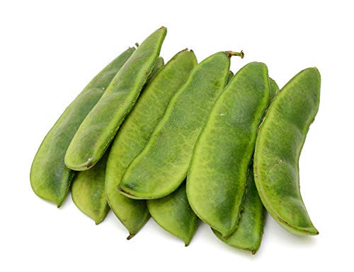 King of The Garden Lima Bean Seeds  25 Heirloom Seeds Per Packet  Non GMO Seeds
