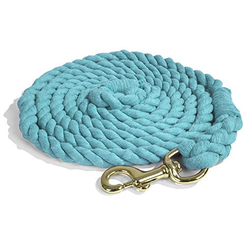 Intrepid International Lead Rope Cotton with Brass Snap Heavy Duty 10-Feet Lead Rope  Teal