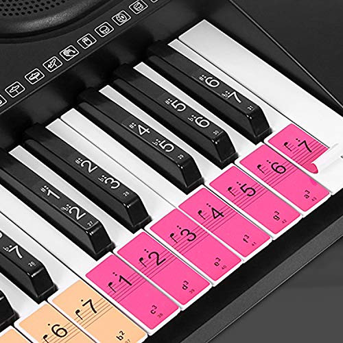 pedkit Piano Keyboard Keys Stickers for Beginners for 88 61 54 Keys Piano
